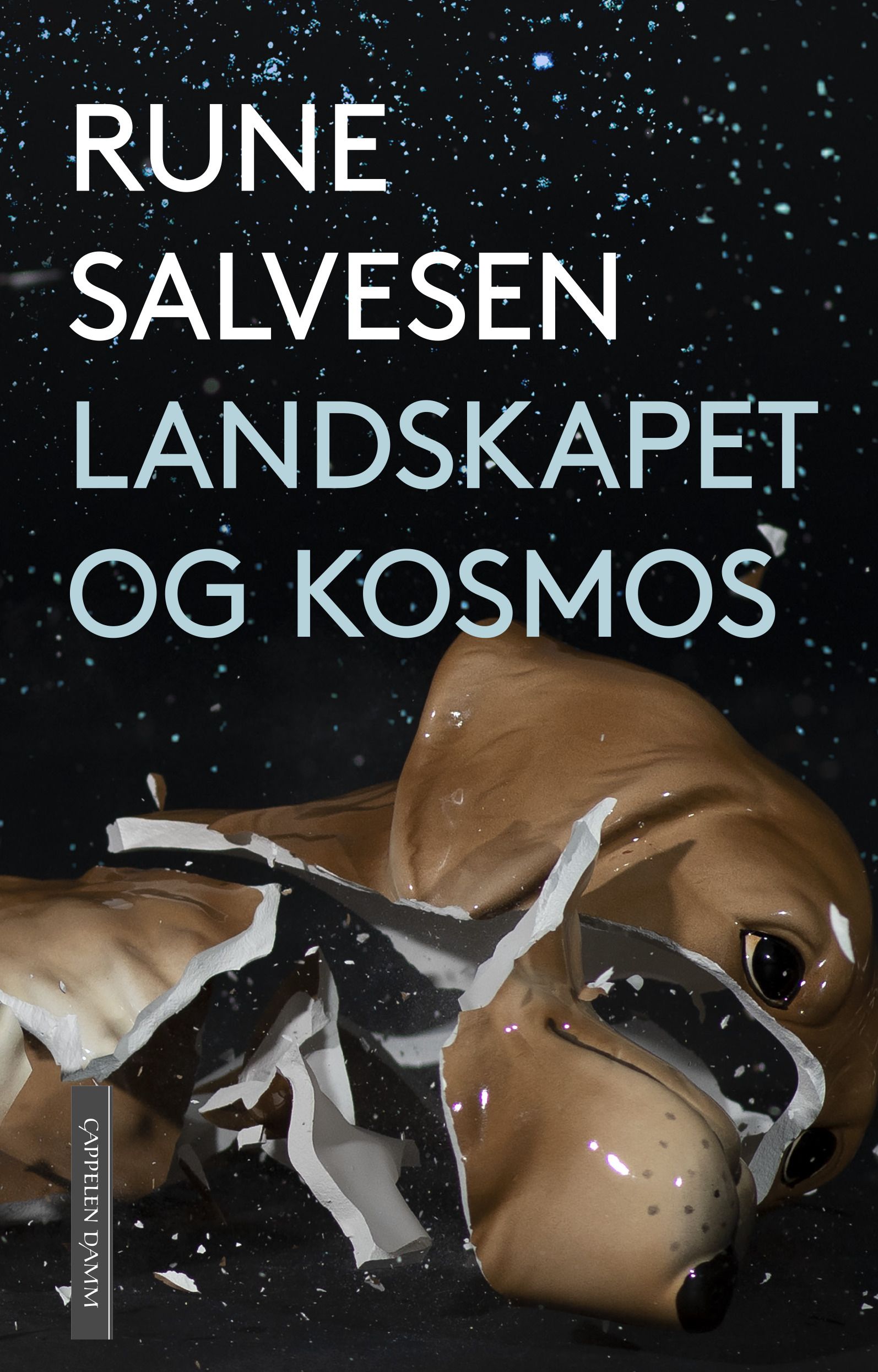 Landskapet og kosmos - roman