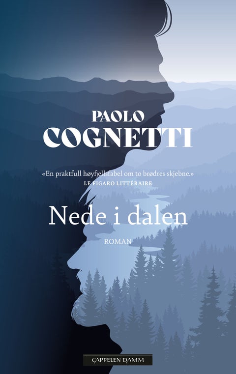 Nede i dalen