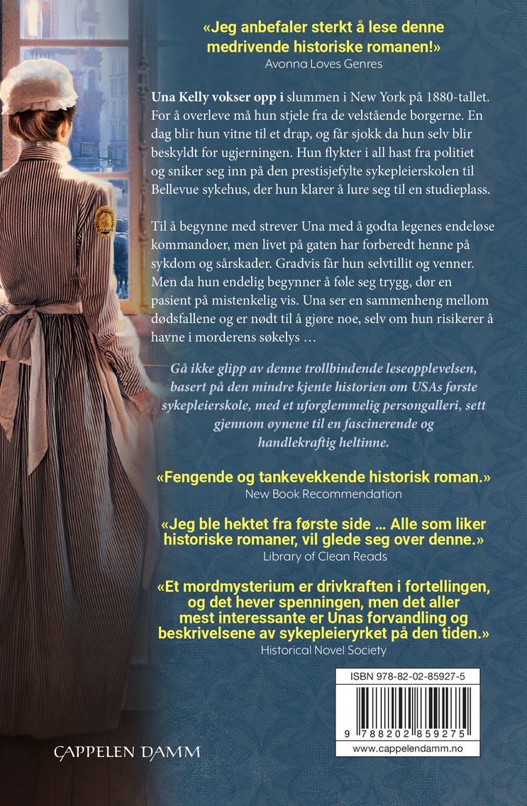 Sykepleierens hemmelighet
