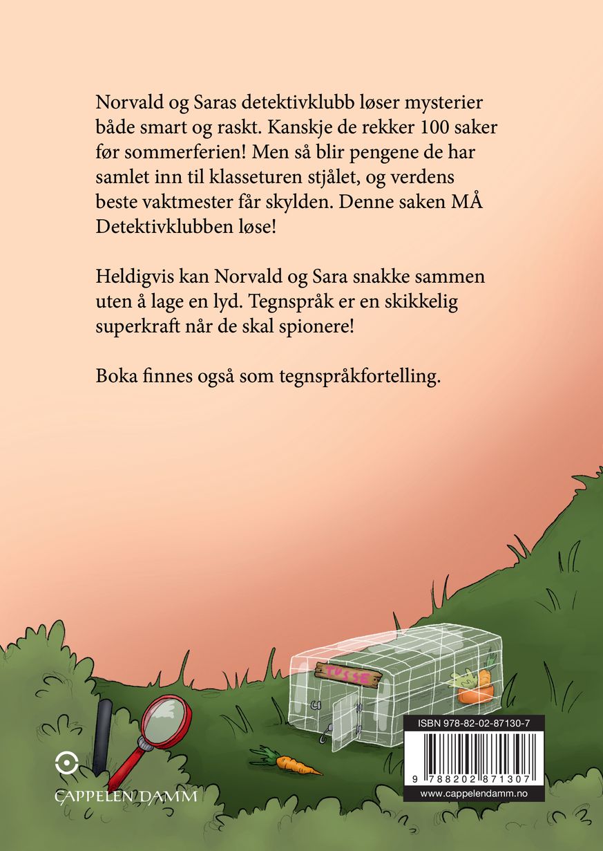 Detektivklubben og mysterium nummer 100