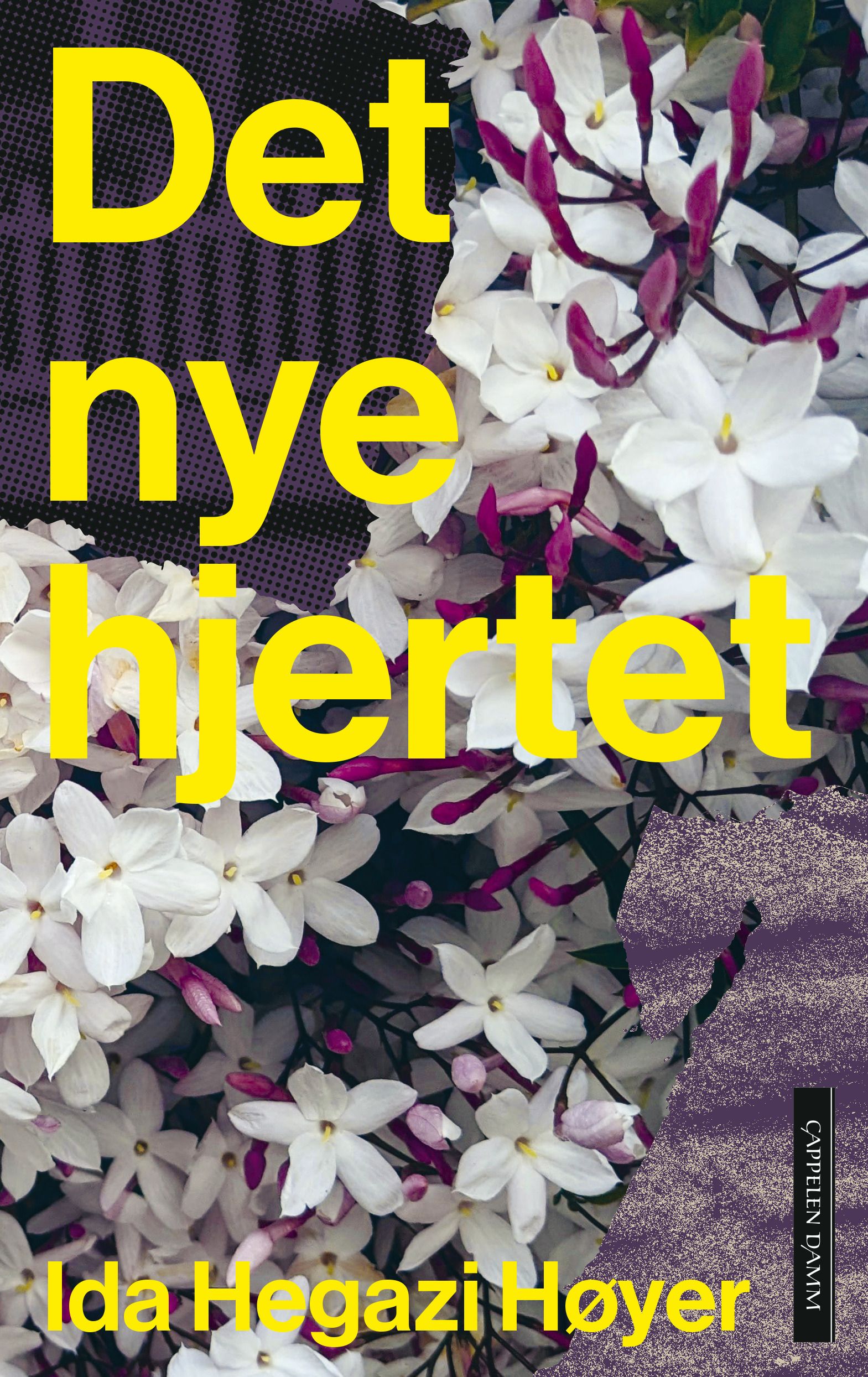 Det nye hjertet