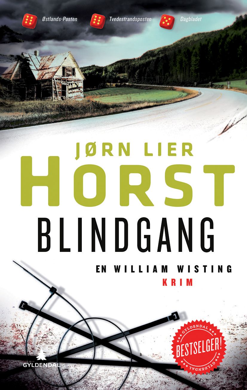 Blindgang - kriminalroman