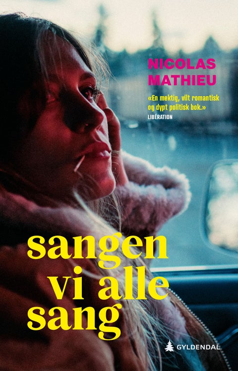 Sangen vi alle sang - roman