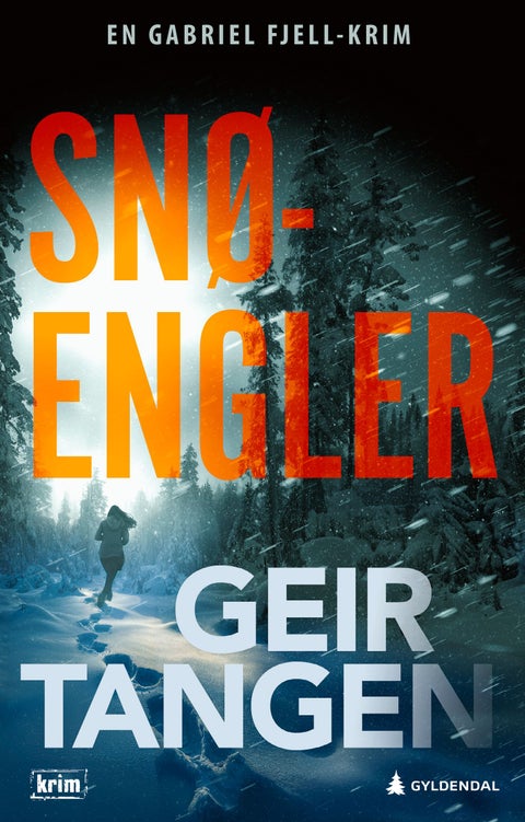 Snøengler - kriminalroman