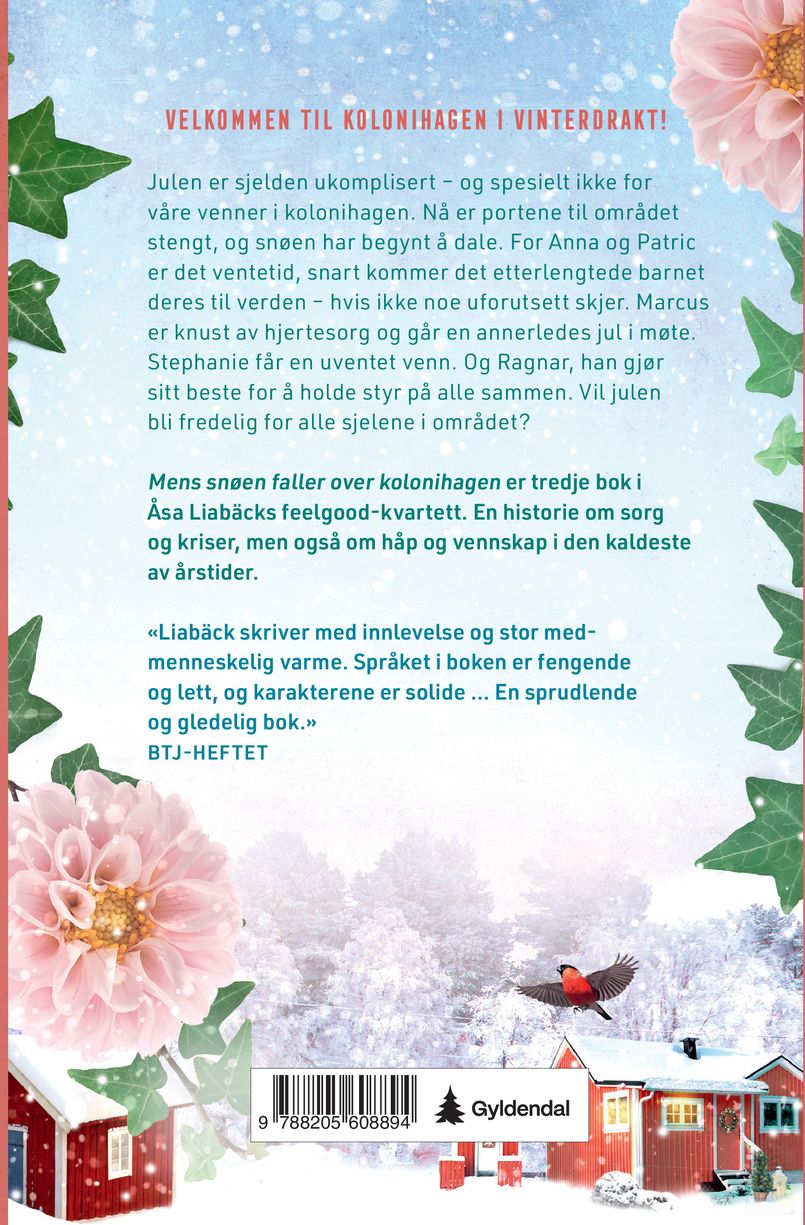 Mens snøen faller over kolonihagen