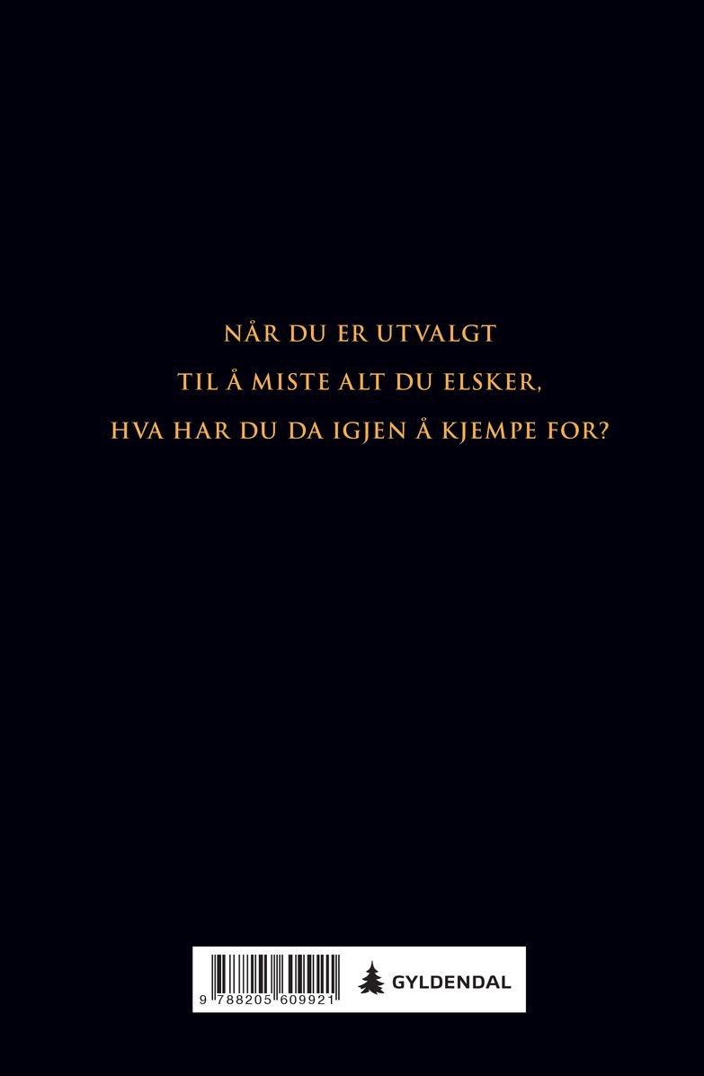 Soloppgang på arenaen