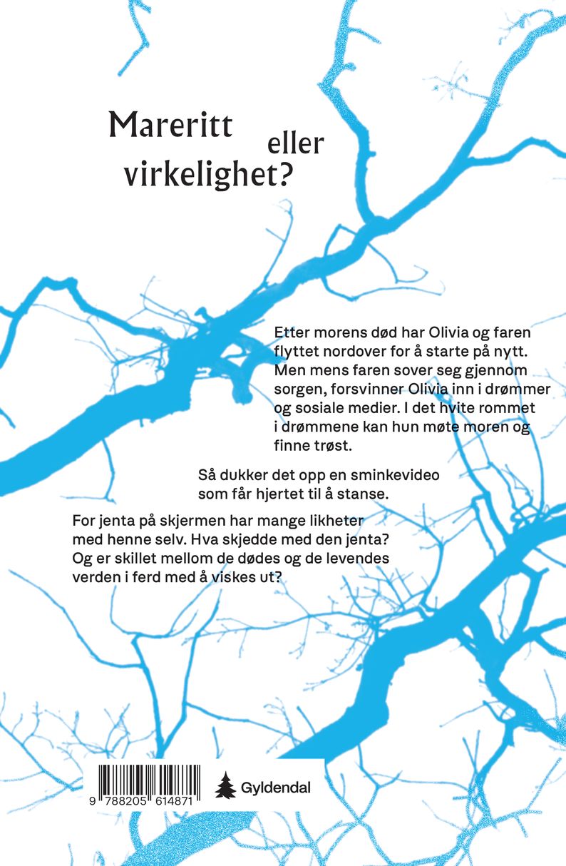 Det hvite rommet