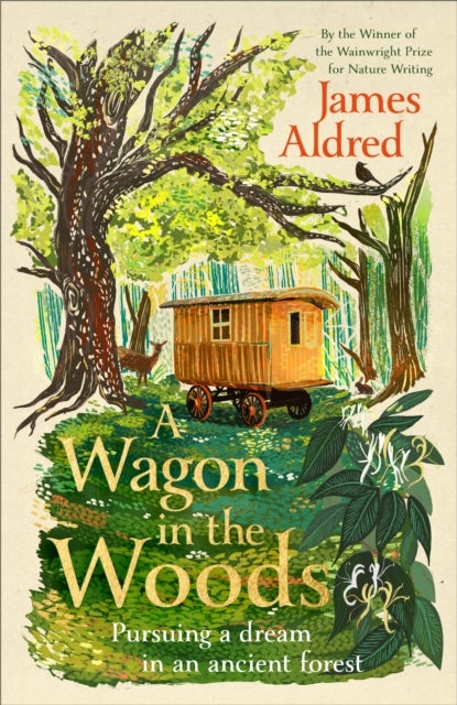 A Wagon in the Woods - Pursuing a dream in an ancient forest