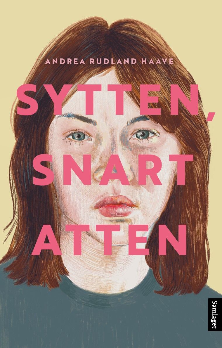Sytten, snart atten - roman