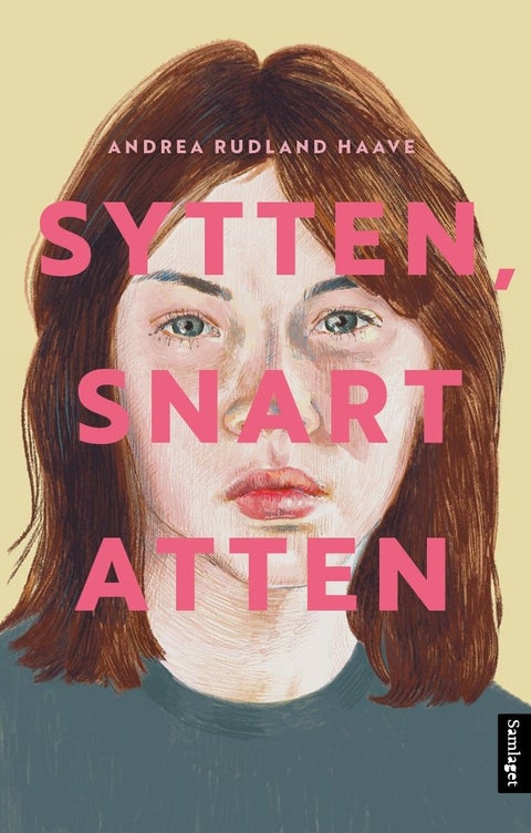 Sytten, snart atten - roman