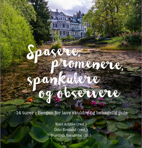 Spasere, promenere, spankulere og observere - 14 turer i Bergen for lave skuldre og behagelig puls