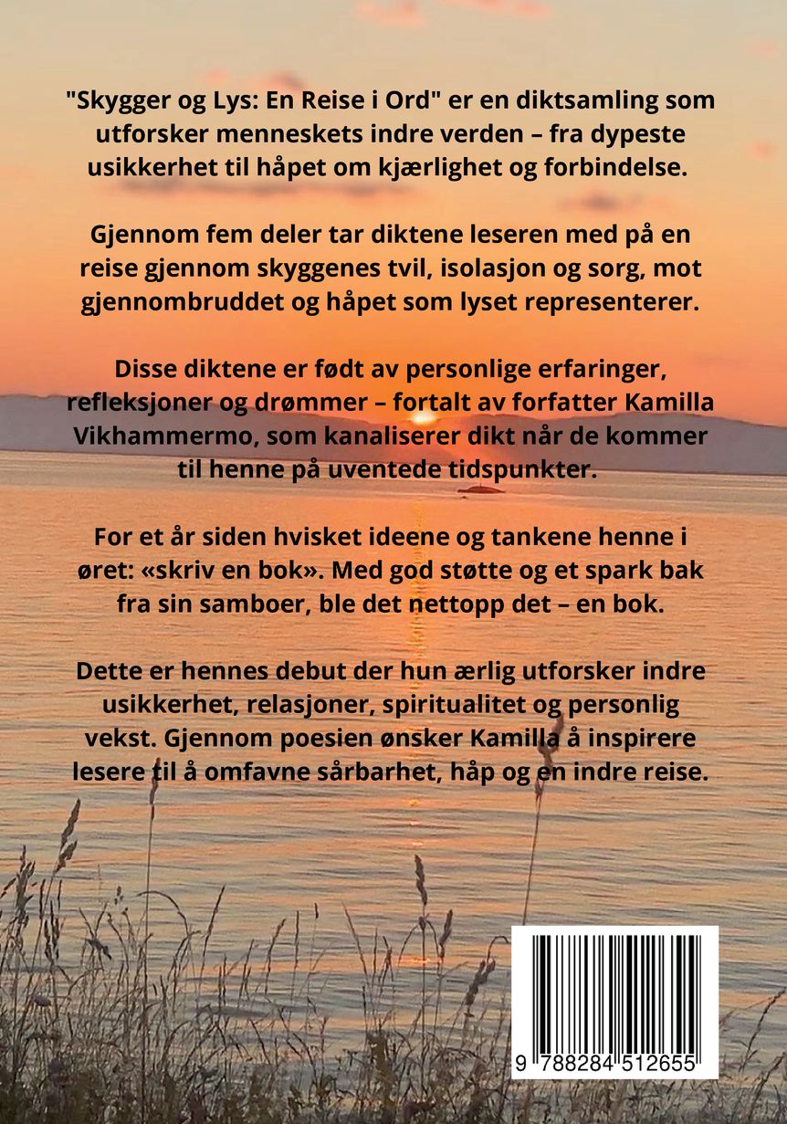 Skygger og lys