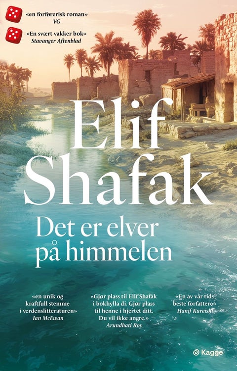 Det er elver på himmelen - roman