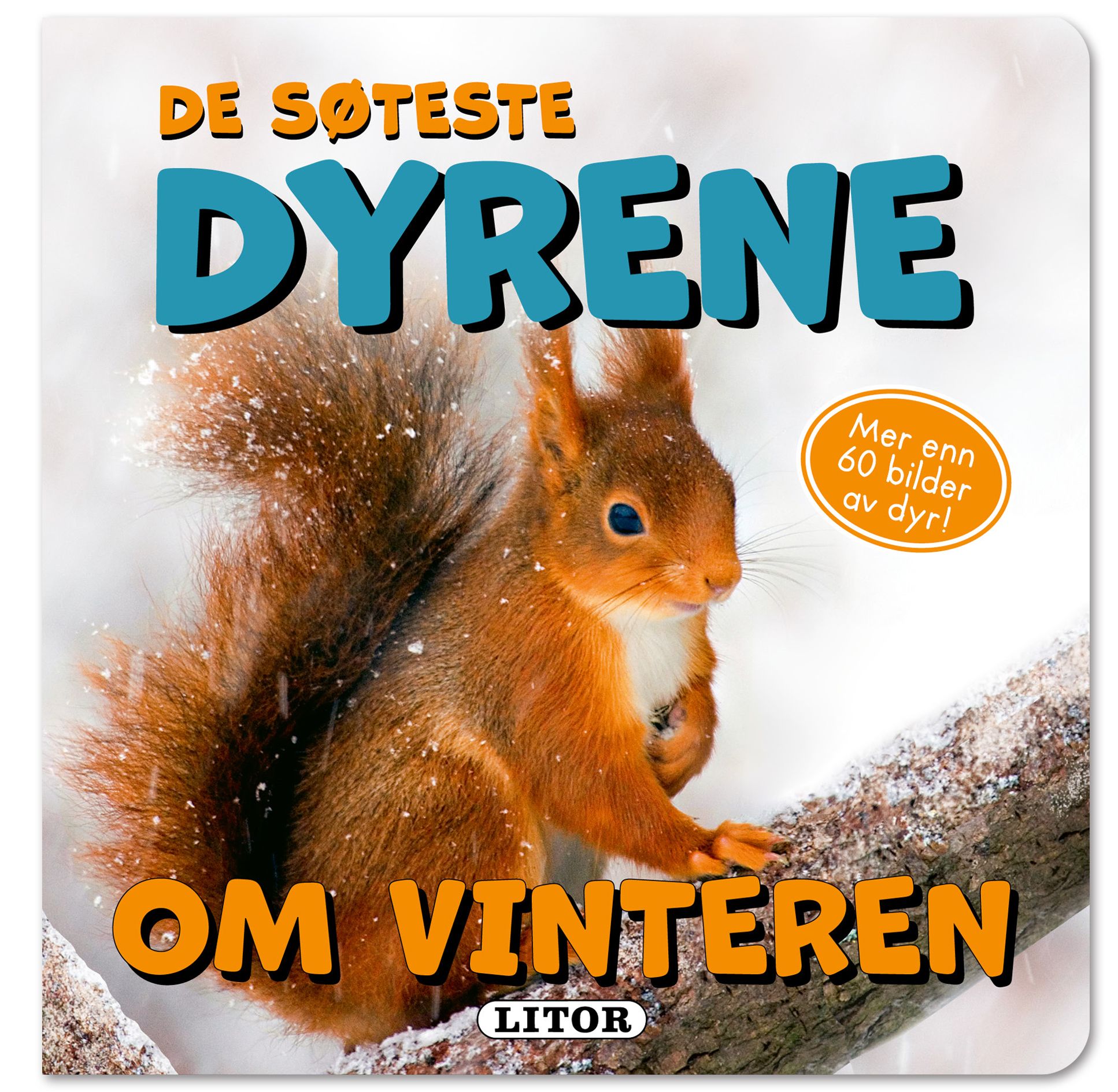 Våre søteste dyr om vinteren - våre søteste dyr om vinteren