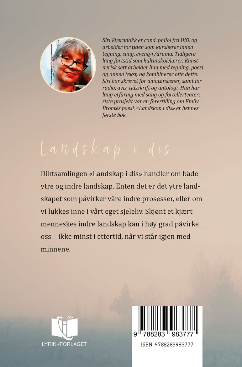 Landskap i dis