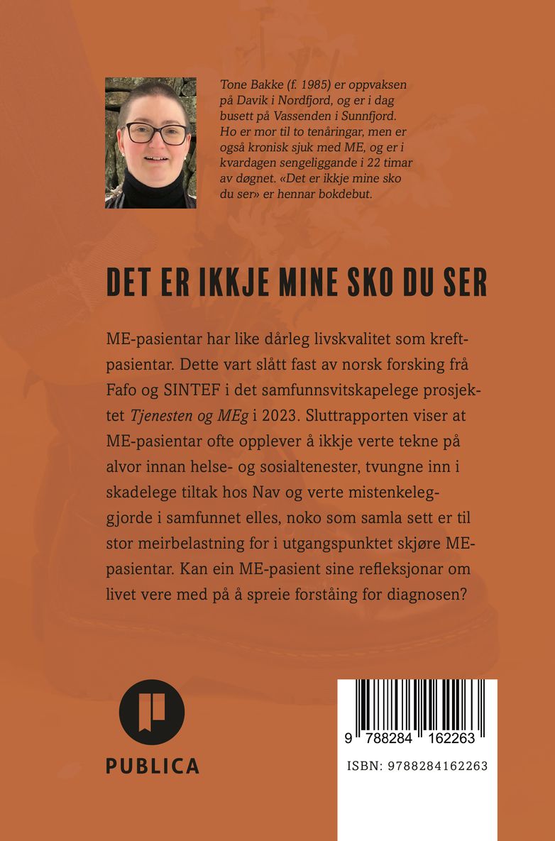 Det er ikkje mine sko du ser