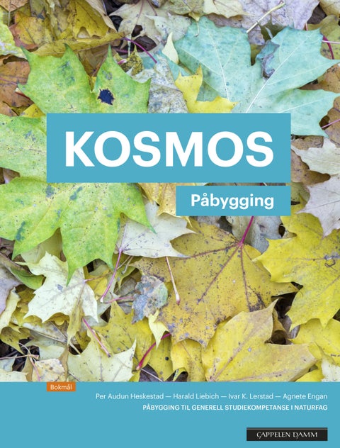 Kosmos påbygging - Lærebok : påbygging for generell studiekompetanse i naturfag