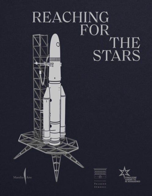 Reaching for the Stars - From Maurizio Cattelan to Lynette Yiadom-Boakye