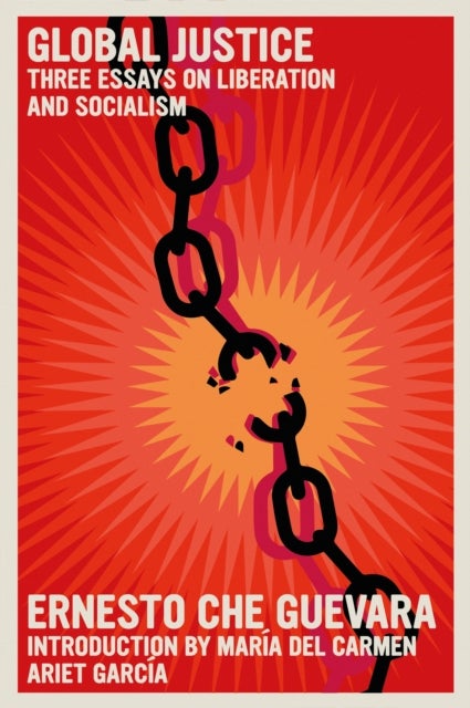 Global Justice - Three Essays on Liberation and Socialism