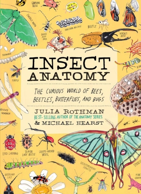 Insect Anatomy - The Curious World of Bees, Beetles, Butterflies, and Bugs