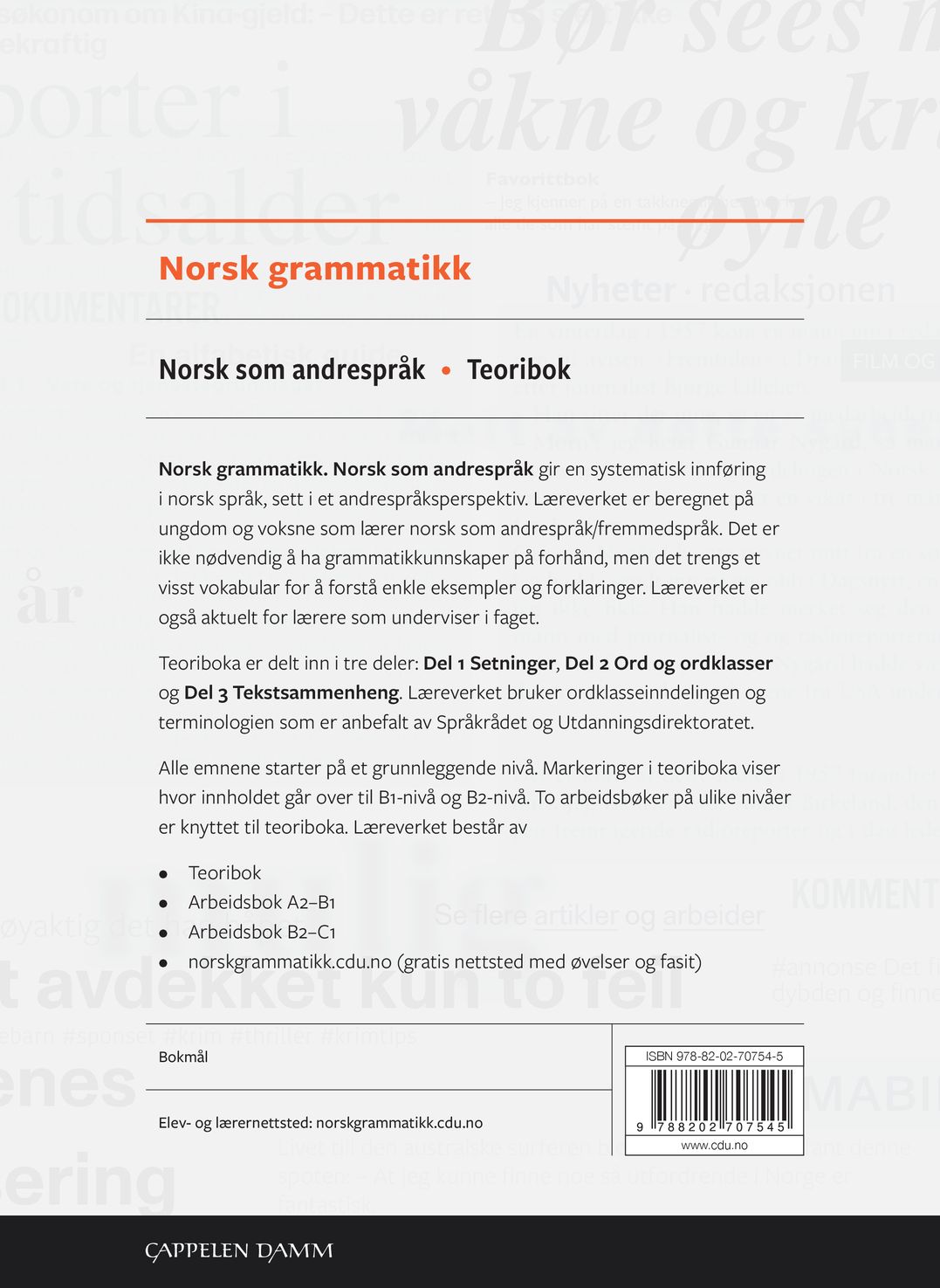 Norsk grammatikk