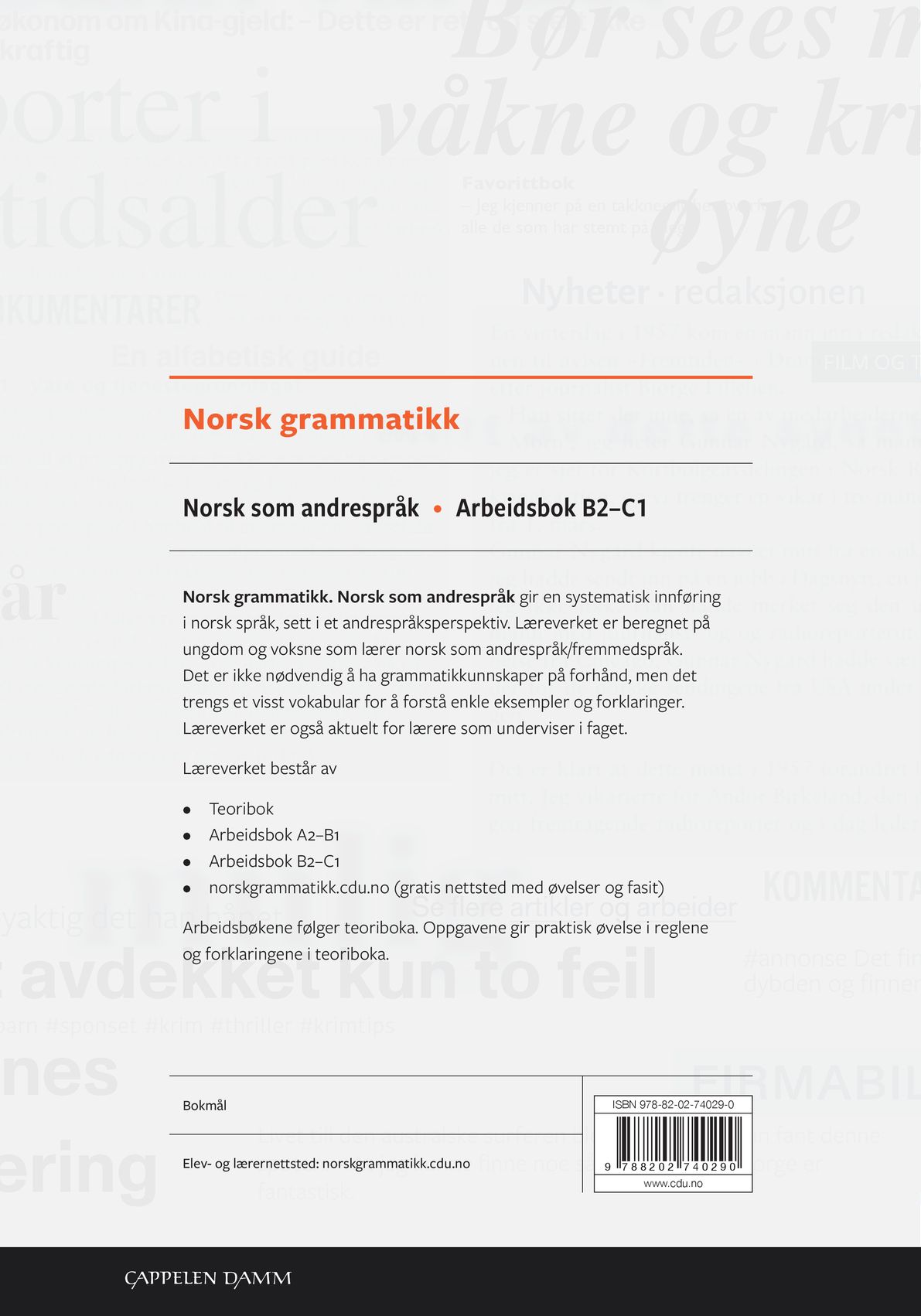 Norsk grammatikk