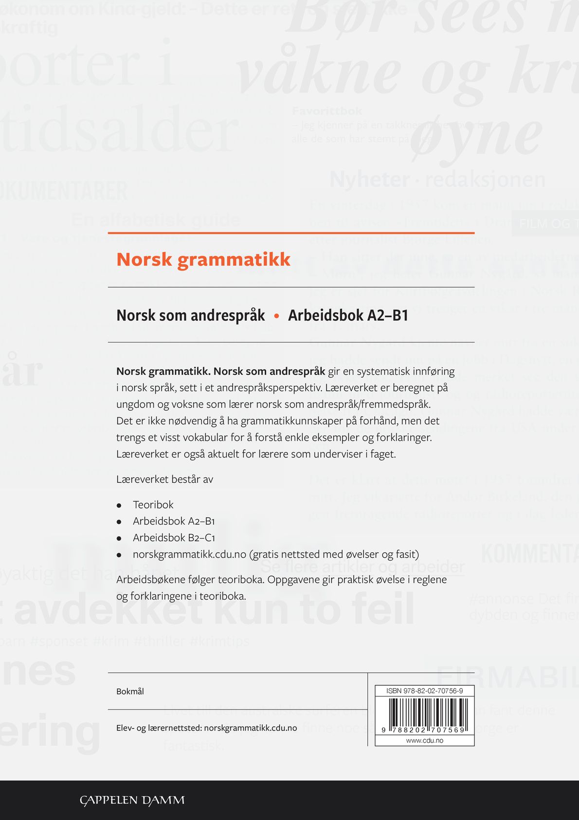 Norsk grammatikk
