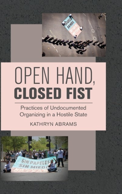 Open Hand, Closed Fist - Practices of Undocumented Organizing in a Hostile State