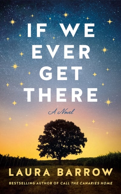 If We Ever Get There - A Novel