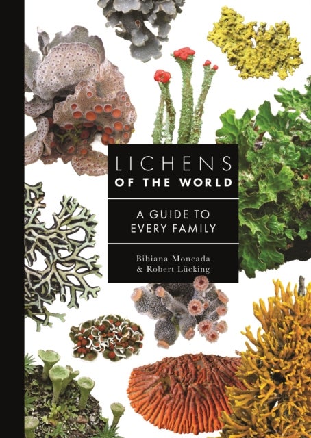 Lichens of the World - A Guide to Every Family