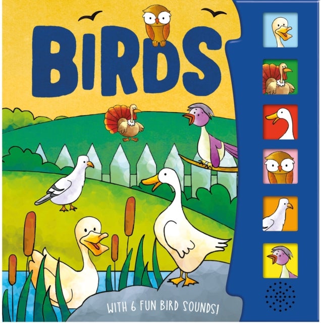 Birds
