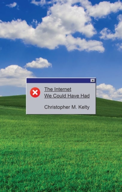 The Internet We Could Have Had