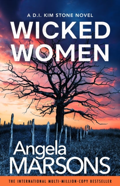 Wicked Women - A completely addictive crime thriller with a shocking twist