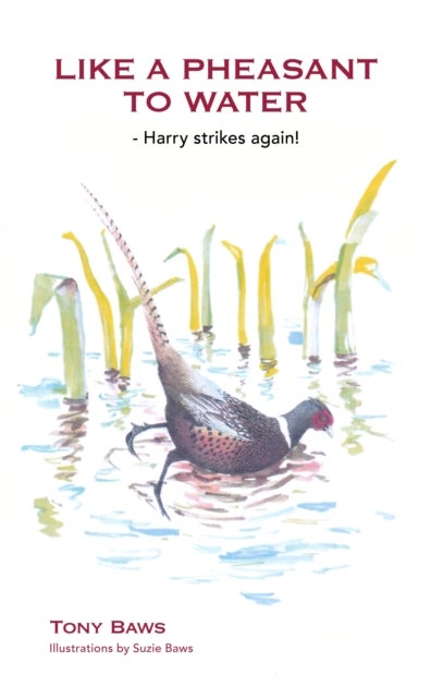 Like a Pheasant to Water - Harry strikes again