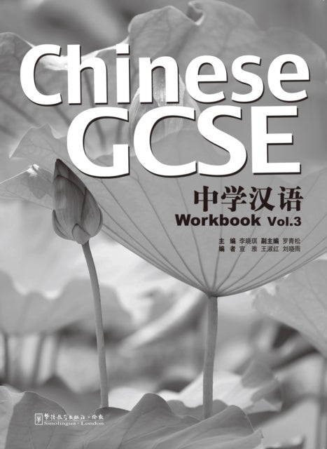 Chinese GCSE Workbook Vol.3