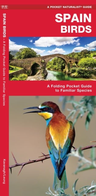 Spain Birds - A Folding Pocket Guide to Familiar Species