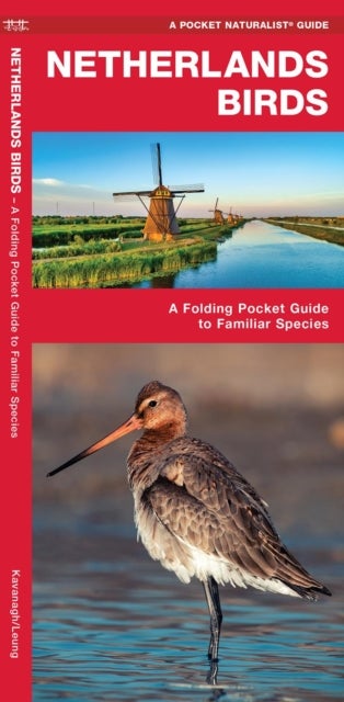 Netherlands Birds - A Folding Pocket Guide to Familiar Species
