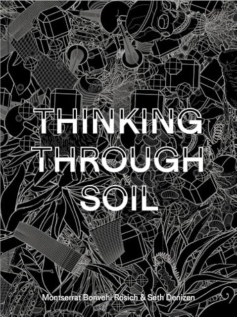 Thinking Through Soil - Wastewater Agriculture in the Mezquital Valley