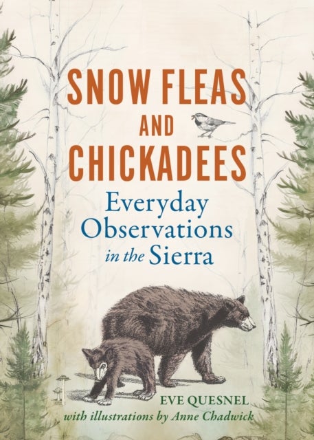 Snow Fleas and Chickadees - Everyday Observations in the Sierra
