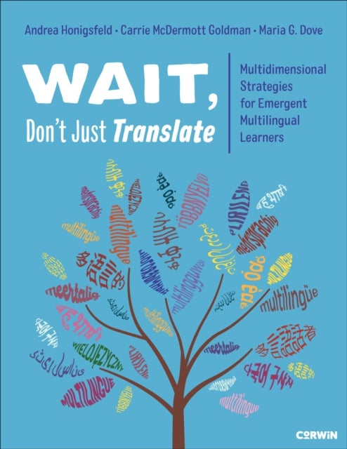Wait, Don’t Just Translate - Multidimensional Strategies for Emergent Multilingual Learners