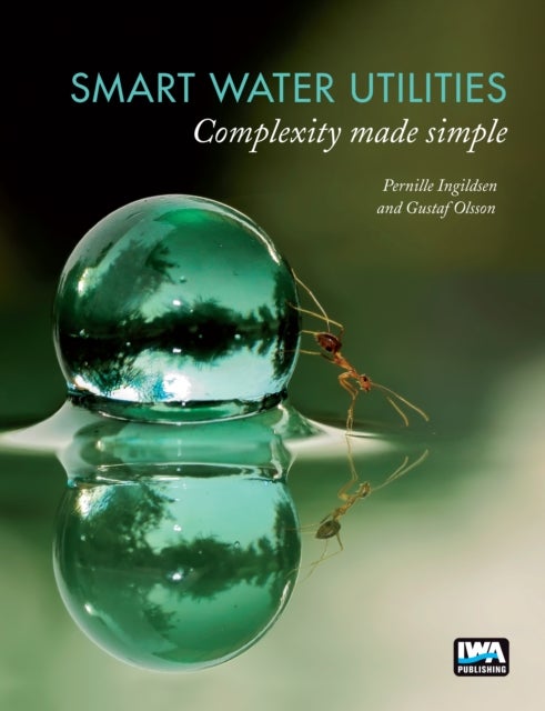 Smart Water Utilities - Complexity Made Simple