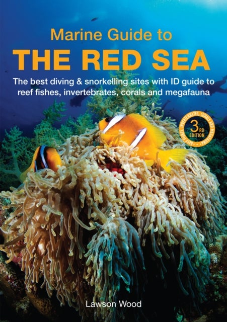 A Marine Guide to the Red Sea - The best diving & snorkelling sites, with ID guide to reef fishes, invertebrates, corals and megafauna