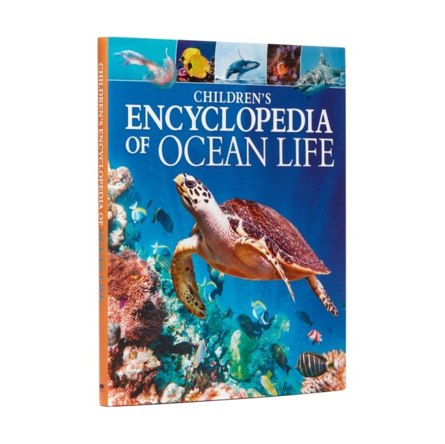 Children's Encyclopedia of Ocean Life - A Deep Dive into Our World's Oceans