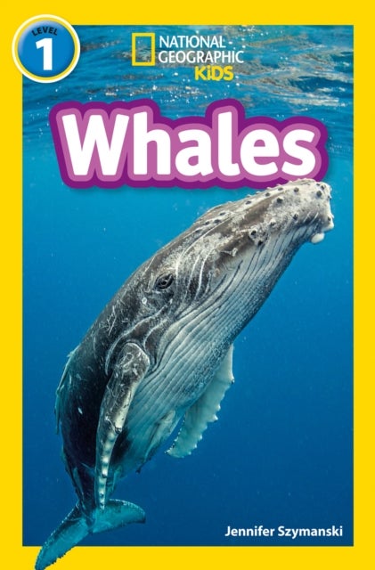 Whales - Level 1