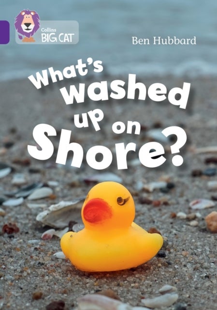 What's washed up on shore? - Band 08/Purple