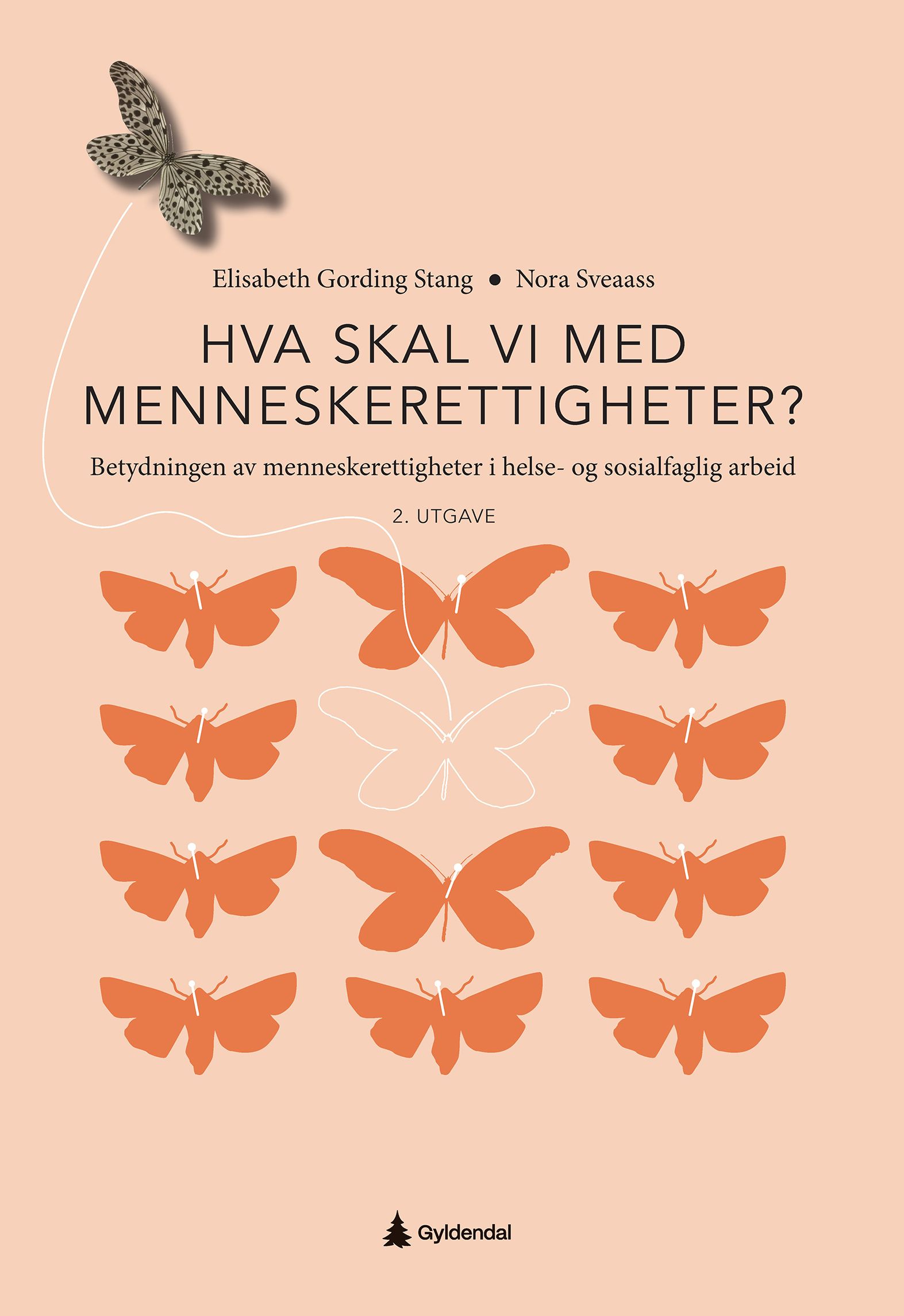 Hva skal vi med menneskerettigheter - betydningen av menneskerettigheter i helse- og sosialfaglig arbeid