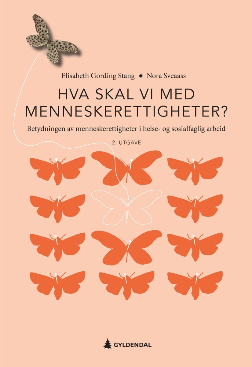 Hva skal vi med menneskerettigheter