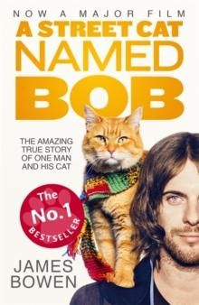 A Street Cat Named Bob - How one man and his cat found hope on the streets