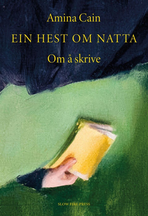 Ein hest om natta - om å skrive
