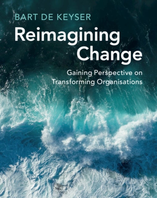 Reimagining Change - Gaining Perspective on Transforming Organisations